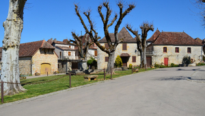 Traitement punaises de lit Guyancourt